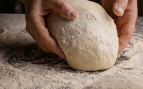 Yeast dough risks for cats