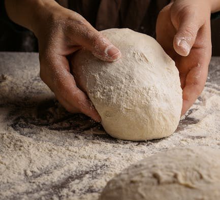 Yeast dough risks for cats