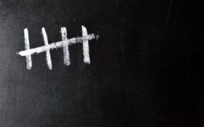 Teaching cats to tolerate basic handling