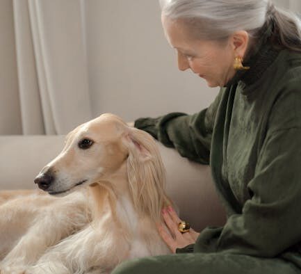 Benefits of staying current with dog vaccines