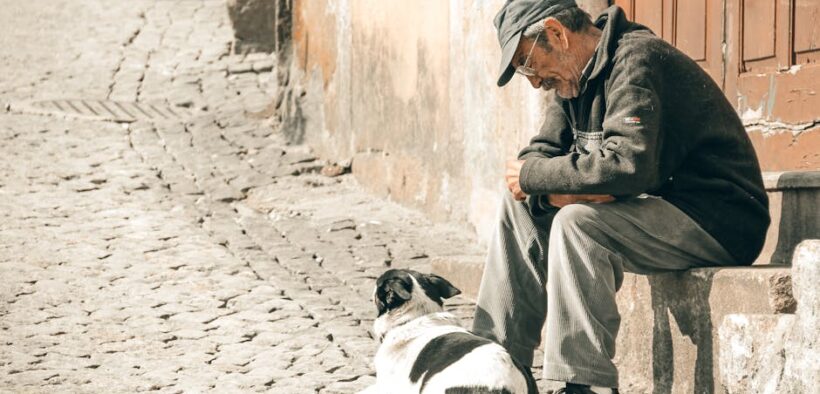 Dog itching with no fleas symptoms and common possibilities