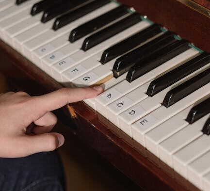 Shaping simple behaviours in basic dog training