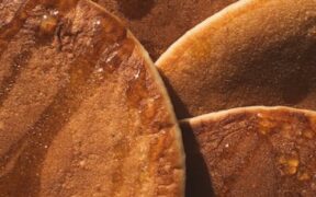 Maple syrup toxicity pets