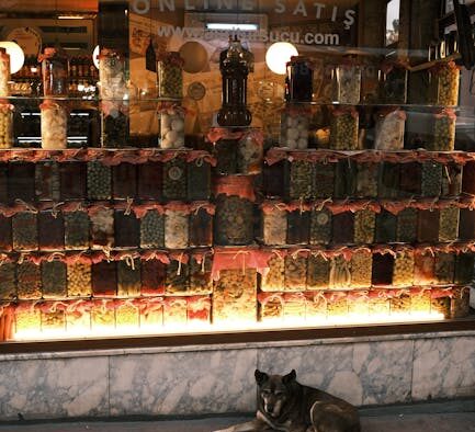 Pickles toxicity pets