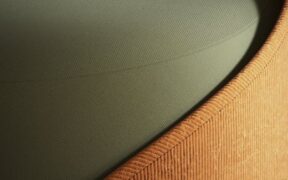 Dogs Reacting to New Household Furniture