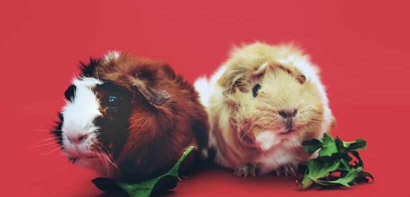 Fermented foods harmful to pets