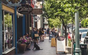 Dog bloating signs causes and when it is life-threatening