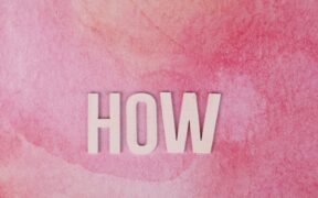 How veterinarians create individualized vaccination plans