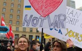 Dogs showing signs of overwhelm