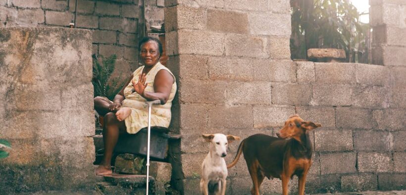 Parasites in senior dogs causes risks and prevention for pet owners