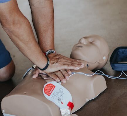 Basic training for rescue dogs