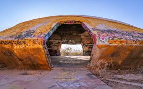 Cats showing agitation when left behind