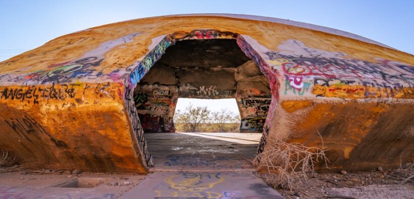 Cats showing agitation when left behind