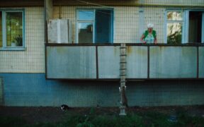 Parasites in senior cats causes risks and prevention for pet owners