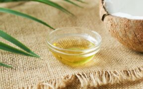 Coconut oil toxicity pets