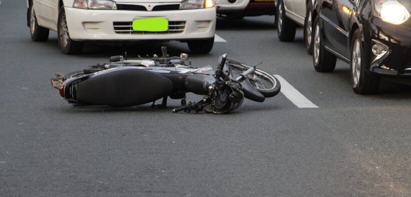 Travel safety tips for dogs preventing stress and injury