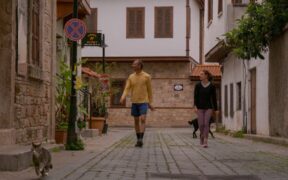 Cat abnormal walking causes and neurological signs