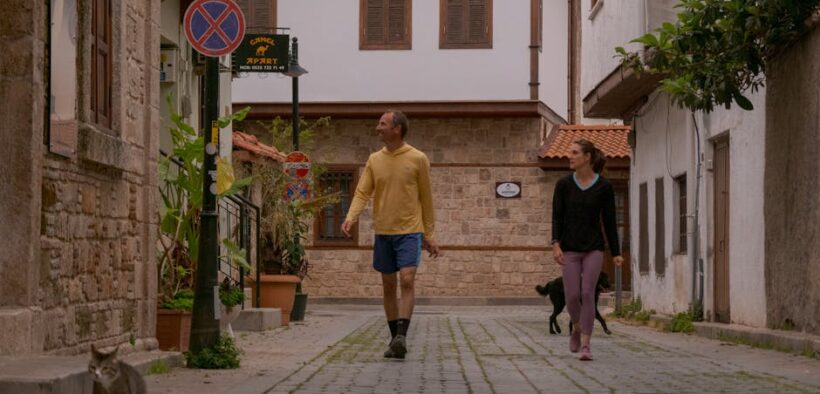 Cat abnormal walking causes and neurological signs