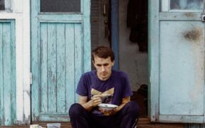 Cat circling food bowl but not eating digestive symptom