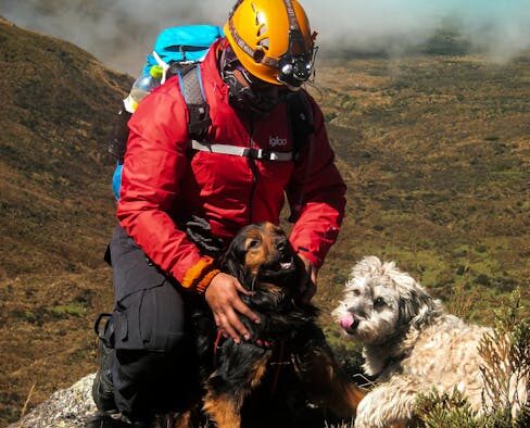 Feeding guide for dogs in hot climates