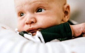 Cat irritated skin after new shampoo early signs