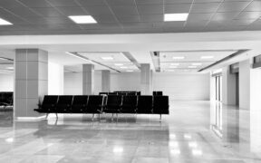 Post travel anxiety in cats