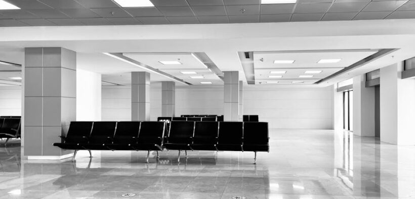 Post travel anxiety in cats