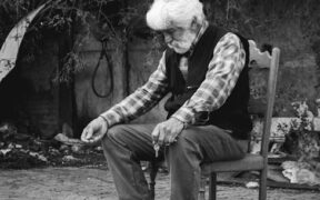 Senior cat feeding guide