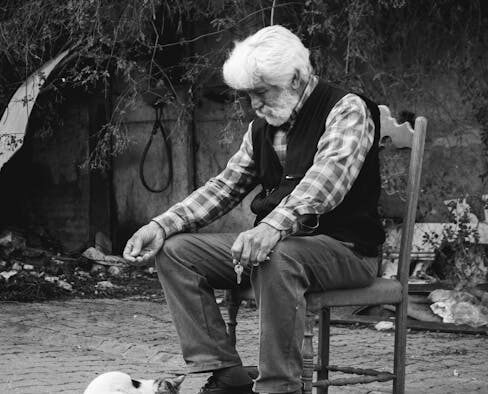 Senior cat feeding guide