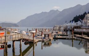 Vaccination needs for outdoor adventure dogs hiking and travel