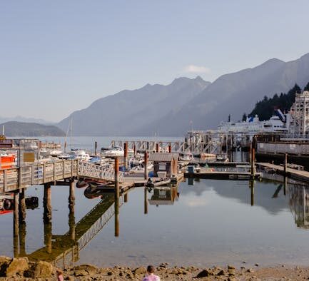 Vaccination needs for outdoor adventure dogs hiking and travel