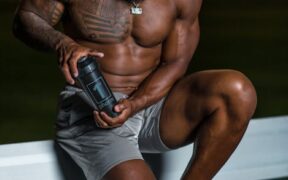 Supplements for lean muscle in active dogs