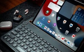 Monitoring your cat after vaccination early signs to watch