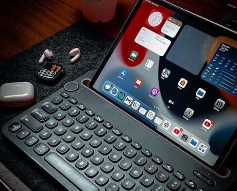 Monitoring your cat after vaccination early signs to watch