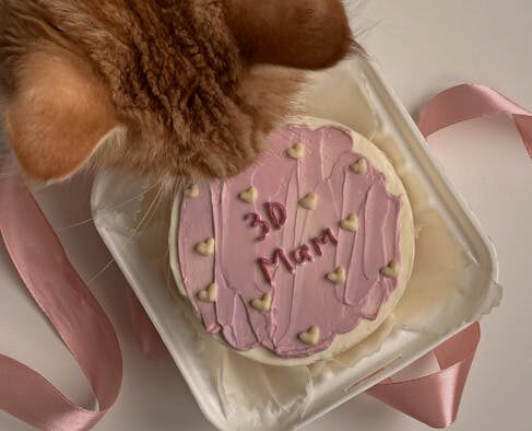 Cake frosting toxicity pets