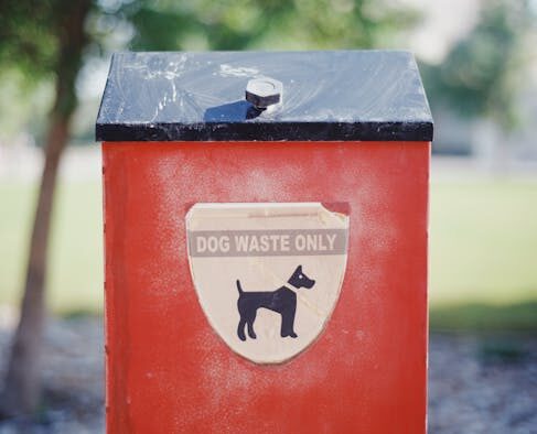 Pet vocalizing in litter box