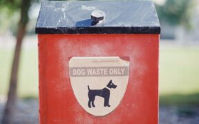 Pet refusing to use litter box