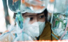 New environment anxiety in dogs