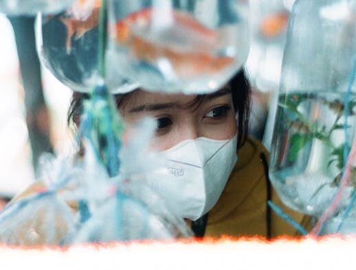 New environment anxiety in dogs