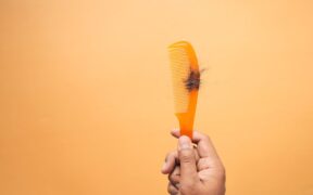 Grooming Routines for High Shedding Cats