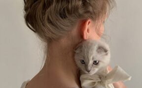 Cat hunched posture with digestive symptoms warning clue