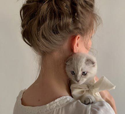 Cat hunched posture with digestive symptoms warning clue