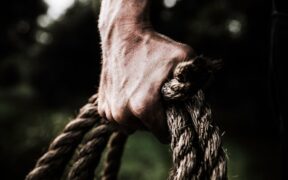 Dog firm skin nodules symptoms and when to see a vet