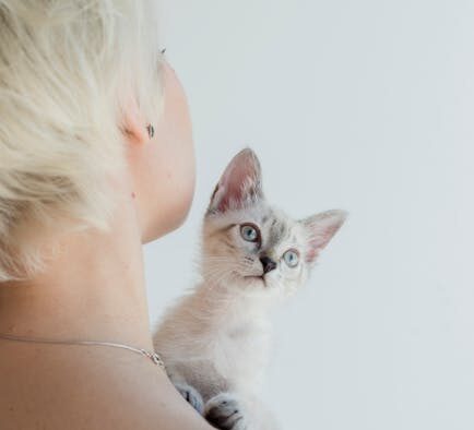 Supplements for healthy skin in short haired cats