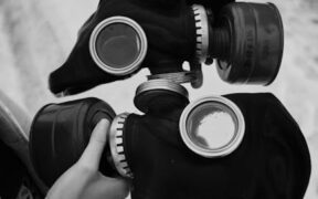 Preventive outdoor safety for cats supervised exploration