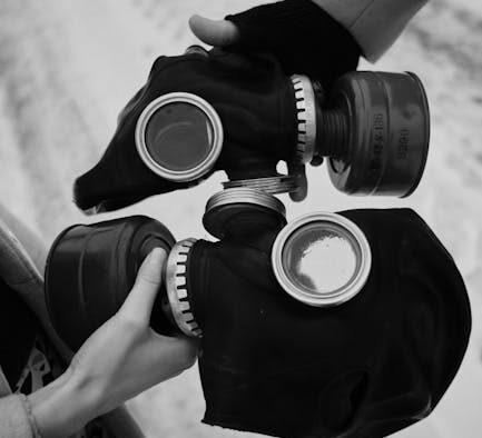 Preventive outdoor safety for cats supervised exploration