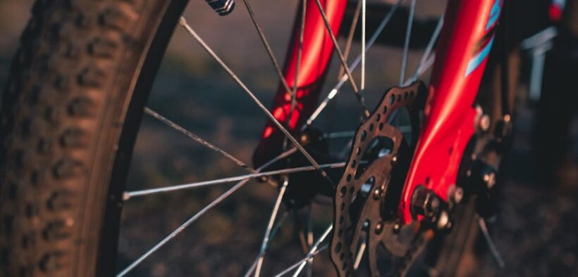 Urinary issues during heat cycle