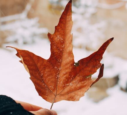 Urination changes during winter