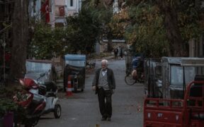 Supplements for dogs with poor appetite