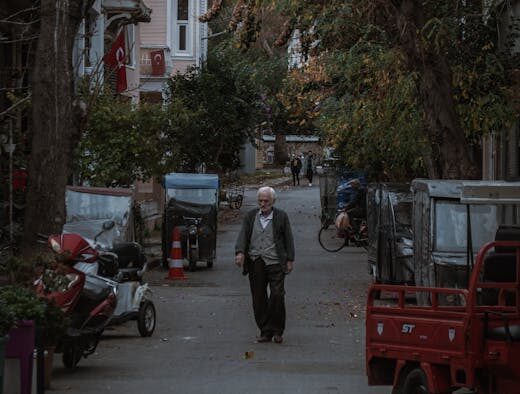 Supplements for dogs with poor appetite